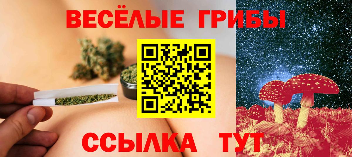 Галлюциногенные грибы Psilocybe Орёл
